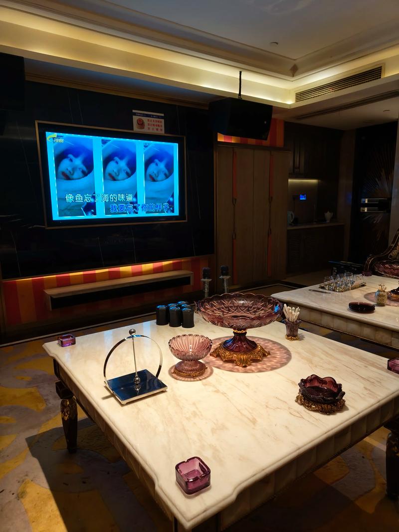 江门商务ktv：优雅消费体验-江海区ktv预订